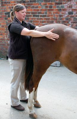 Assessing Pelvis Symmetry