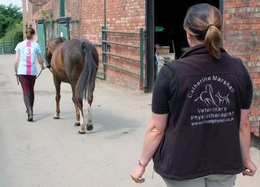 Gait Assessment