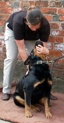 Assessing Neck Extension